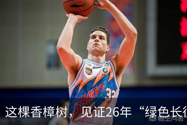 这棵香樟树，见证26年“绿色长征”